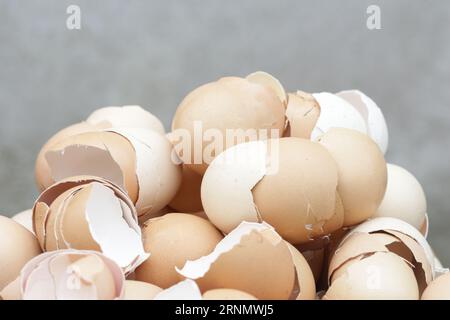Stack of broken and dry eggshells Stock Photo
