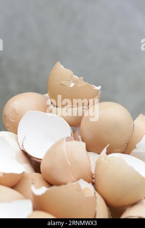 Stack of broken and dry eggshells Stock Photo