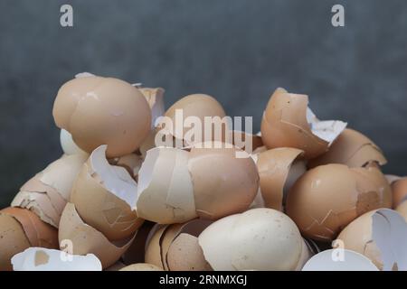 Stack of broken and dry eggshells Stock Photo