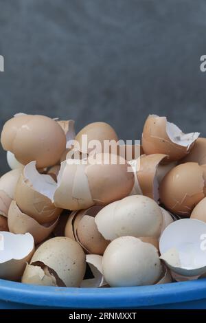 Stack of broken and dry eggshells Stock Photo