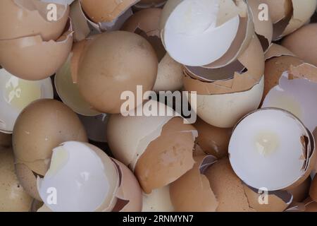 Stack of broken and dry eggshells Stock Photo