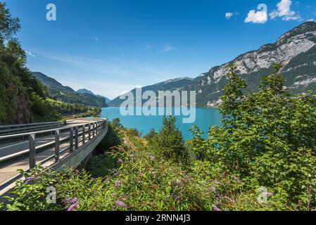 Panoramic view of Lake Walensee (Lake Walen) with scenic road, Quarten, Canton St. Gallen, Switzerland Stock Photo