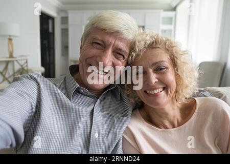 Happy carefree retired grey haired couple taking selfie at home Stock Photo