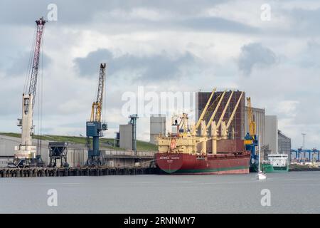 Devbulk Sadiye,  a General Cargo Ship built in 2015, moored at the docks in Belfast, northern Ireland. Stock Photo