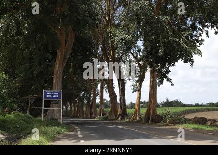 Grand Bel Air is a village in Mauritius. Grand Bel Air is situated nearby to  Ville Noire and the village Rivière des Créoles. Stock Photo