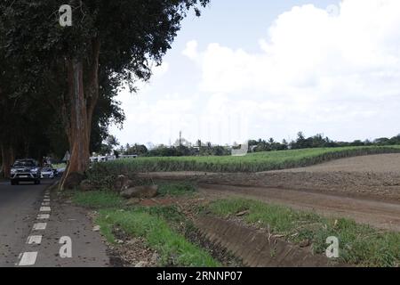 Grand Bel Air is a village in Mauritius. Grand Bel Air is situated nearby to  Ville Noire and the village Rivière des Créoles. Stock Photo