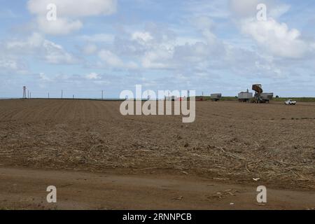 Grand Bel Air is a village in Mauritius. Grand Bel Air is situated nearby to  Ville Noire and the village Rivière des Créoles. Stock Photo