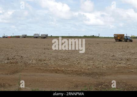 Grand Bel Air is a village in Mauritius. Grand Bel Air is situated nearby to  Ville Noire and the village Rivière des Créoles. Stock Photo