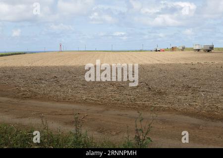 Grand Bel Air is a village in Mauritius. Grand Bel Air is situated nearby to  Ville Noire and the village Rivière des Créoles. Stock Photo