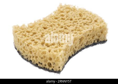 Big porous sponge isolated on white background Stock Photo - Alamy