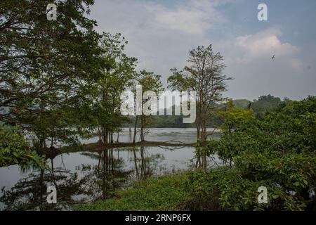 A stream in Wellawaya, Sri Lanka, with trees and sky visible Stock Photo