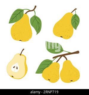 Set of pears isolated on white background. Vector fruit illustration. Stock Vector