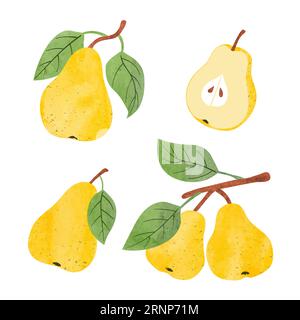 Set of watercolor pears. Vector fruit illustration. Stock Vector