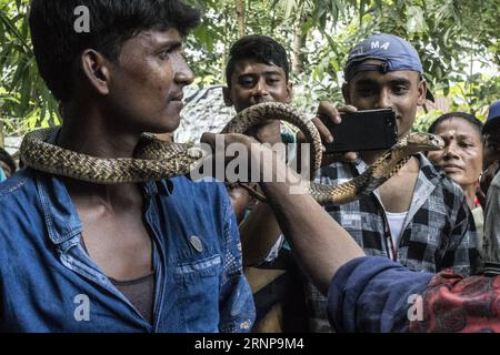 (170817) -- KHEDAITALA, Aug. 17, 2017 -- Indian take photos for snakes during the festival of the Hindu snake goddess Manasha at Khedaitala, some 75 kms north of Kolkata, capital of eastern Indian state West Bengal, Aug. 17, 2017. Many snake charmers and villagers attended this traditional festival to worship the goddess on Thursday. ) (gl) INDIA-KHEDAITALA-SNAKE FESTIVAL TumpaxMondal PUBLICATIONxNOTxINxCHN   Khedaitala Aug 17 2017 Indian Take Photos for Snakes during The Festival of The Hindu Snake Goddess Manasha AT Khedaitala Some 75 KMS North of Kolkata Capital of Eastern Indian State WEST Stock Photo