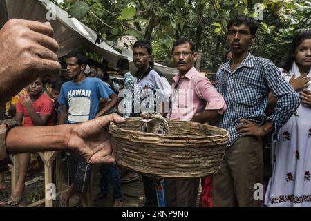 (170817) -- KHEDAITALA, Aug. 17, 2017 -- An Indian snake charmer attracts snakes during the festival of the Hindu snake goddess Manasha at Khedaitala, some 75 kms north of Kolkata, capital of eastern Indian state West Bengal, Aug. 17, 2017. Many snake charmers and villagers attended this traditional festival to worship the goddess on Thursday. ) (gl) INDIA-KHEDAITALA-SNAKE FESTIVAL TumpaxMondal PUBLICATIONxNOTxINxCHN   Khedaitala Aug 17 2017 to Indian Snake Charmer attracts Snakes during The Festival of The Hindu Snake Goddess Manasha AT Khedaitala Some 75 KMS North of Kolkata Capital of Easte Stock Photo