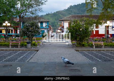 Pigeon, Species of Birds in the family Columbidae (order Columbiformes) Walking on the Porch on the Church with Park, Colonial Houses and Street in th Stock Photo