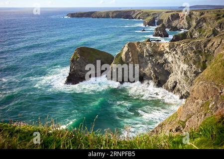 Carnewas and Bedruthan Steps, Pendarves, Redcove, Samaritan, Queen Bess and Carnewas viewed from the cliff top in North Cornwall on the coastal path Stock Photo