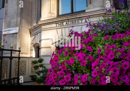 London, UK: The Aubrey restaurant in Knightsbridge, London. The Aubrey is a Japanese restaurant in the Mandarin Oriental Hotel, Hyde Park, London. Stock Photo