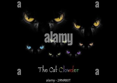 The Clowder Cats Design - Scary cat eyes showing up in the dark. Evil staring animals with a caption Stock Photo