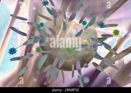 Bacteria and viruses attacking human cell, illustration Stock Photo - Alamy