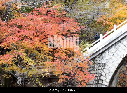(171011) -- KUANDIAN, Oct. 11, 2017 -- Tourists view the scenery of red leaves at Tianqiaogou forest park in Dandong, northeast China s Liaoning Province, Oct. 11, 2017. ) (wyo) CHINA-LIAONING-AUTUMN SCENERY (CN) LixGang PUBLICATIONxNOTxINxCHN Stock Photo