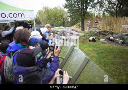 (171013) -- TORONTO, Oct. 13, 2017 -- Visitors take photos of giant panda twins during their 2nd birthday celebration at the Toronto Zoo in Toronto, Canada, Oct. 13, 2017. The Toronto Zoo hosted the 2nd birthday celebration for the first Canadian-born giant panda twins Jia Panpan (meaning Canadian Hope) and Jia Yueyue (meaning Canadian Joy) on Friday. The female giant panda Er Shun from China gave birth to the twins in Toronto Zoo on Oct. 13, 2015. ) CANADA-TORONTO-GIANT PANDA TWINS-2ND BIRTHDAY CELEBRATION ZouxZheng PUBLICATIONxNOTxINxCHN Stock Photo