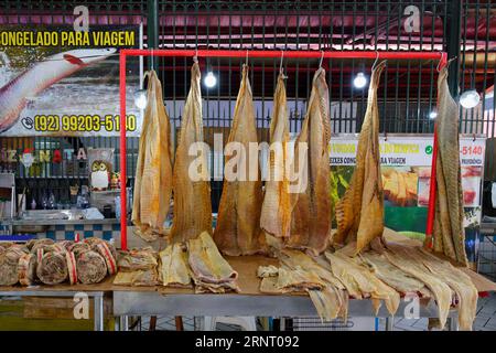 Giant pirarucu fish or (Arapaima gigas) fish hanging in the fish market section, Adolpho Lisboa market hall, Manaus, Amazonia State, Brazil Stock Photo