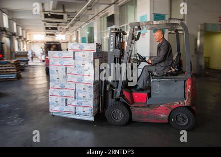 (171107) -- SHANGHAI, Nov. 7, 2017 -- Photo taken on Nov. 3, 2017 shows a worker loading boxes of beef that imported from the United States, in Shanghai, east China. Though it is the home of U.S. billionaire investor Warren Buffett, Omaha was little known to Chinese a few months ago. But now this city in the midwestern Nebraska state is poised to become a household name in China since its Greater Omaha Packing company sent about 40 boxes of its products to China on June 14, soon days after the United States and China reached a deal to re-open Chinese markets for U.S. beef as part of their 100- Stock Photo