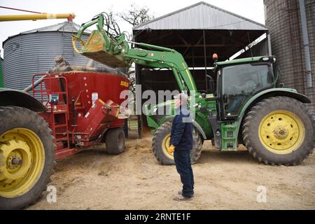 (171107) -- OMAHA, Nov. 7, 2017 -- Photo taken on Oct. 31, 2017 shows farm owner s sons preparing feedstuff for cattle at a farm in Omaha, the United States. Though it is the home of U.S. billionaire investor Warren Buffett, Omaha was little known to Chinese a few months ago. But now this city in the midwestern Nebraska state is poised to become a household name in China since its Greater Omaha Packing company sent about 40 boxes of its products to China on June 14, soon days after the United States and China reached a deal to re-open Chinese markets for U.S. beef as part of their 100-day acti Stock Photo