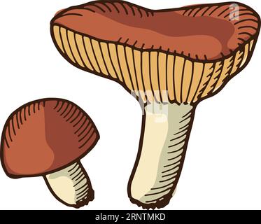 Russula hand drawn icon. Edible mushroom sketch Stock Vector