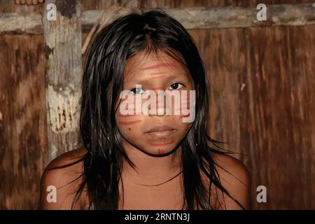 Portrait of an Indian girl from the Dessanos tribe, Rio Taruma, Manaus, Amazon state, Brazil Stock Photo