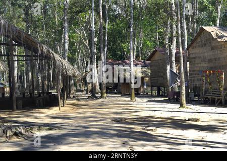 Traditional wooden house of the Tuyuca natives people village, Manaus, Amazonia State, Brazil Stock Photo