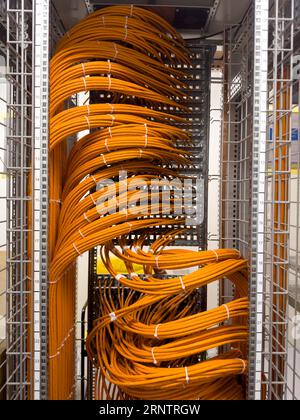 Fiber optic cables in a network rack Stock Photo