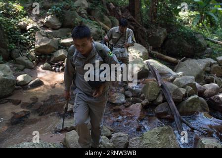 (171202) -- HAIKOU, Dec. 2, 2017 -- Photo taken on Oct. 25, 2017 shows two members of Hainan gibbon monitoring team walking at Bawangling National Nature Reserve in Changjiang, south China s Hainan Province. The Hainan gibbon, or Nomascus Hainanus, is the world s rarest primate, and probably rarest mammal species. Once numbered around 2,000 in the 1950s, they underwent a sharp decline in the late 20th century largely due to habitat loss and hunting. Typically living in rainforest trees over 10 meters tall, the Hainan black crested gibbon (Nomascus hainanus), with long arms and legs but no tail Stock Photo