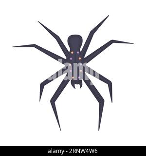 Dark poisonous tropical spider, color illustration Stock Vector