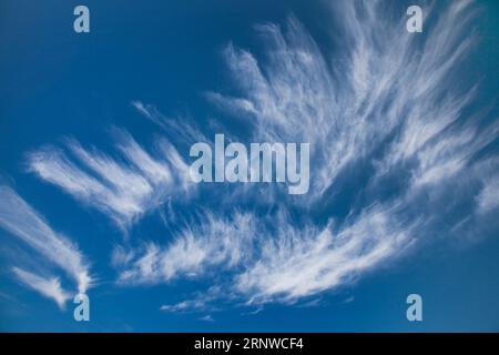 CONCEPT PHOTOGRAPHY: Bavarian Sky Stock Photo