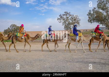 Marrakech, Morocco - Feb 22, 2023: Tourists ride Dromedary camels through the Agafay desert Stock Photo