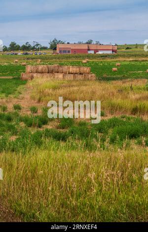 Grain farming and harvesting in Nebraska in late summer. Stock Photo