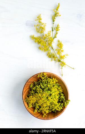 Galium verum, lady bedstraw or yellow bedstraw used in alternative medicine in wooden plate on white table. Medicinal herbs Hypericum for Homeopathic Stock Photo
