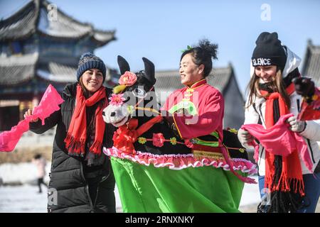 180207) -- FUSHUN, Feb. 7, 2018 -- Foreign students from