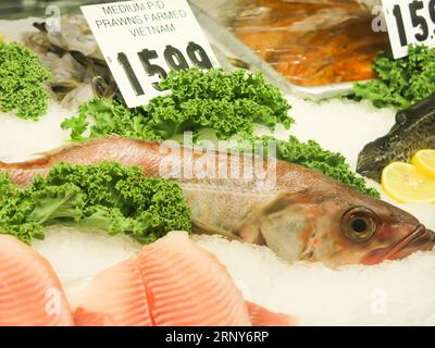 Fish Display at Local American Supermarket Stock Photo