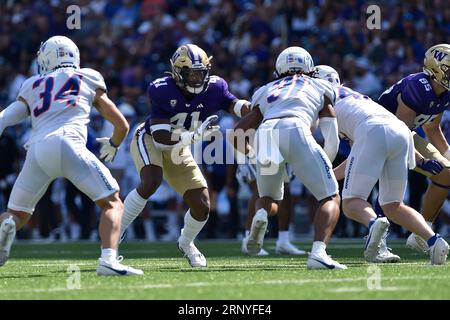 Seattle, WA, USA. 02nd Sep, 2023. Washington Huskies defensive end Lance Holtzclaw (41) during the NCAA football game between the Boise State Broncos and Washington Huskies at Husky Stadium in Seattle, WA. Washington defeated Boise State 56-19. Steve Faber/CSM/Alamy Live News Stock Photo