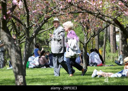 (180415) -- BUCHAREST, April 15, 2018 -- People enjoy the cherry blossom at Herastrau Park in Bucharest, Romania, on April 15, 2018. ) ROMANIA-BUCHAREST-CHERRY BLOSSOM GabrielxPetrescu PUBLICATIONxNOTxINxCHN Stock Photo