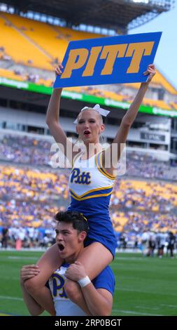 Pittsburgh, PA, USA. 2nd Sep, 2023. Pitt cheerleaders during the Pitt Panthers vs Wofford Terriers in Pittsburgh, PA. Jason Pohuski/CSM/Alamy Live News Stock Photo