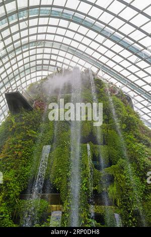 The Falls, a 35m indoor waterfall at the Cloud Forest Conservatory, Gardens by the Bay, Singapore Stock Photo