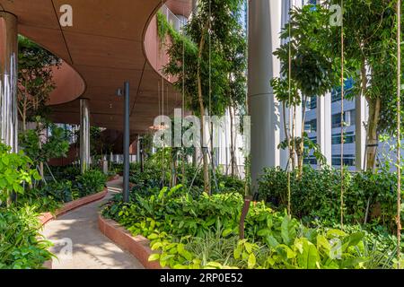 The Green Oasis high rise garden occupying floors 17 to 20 in the eco-friendly green building, CapitaSpring, 88 Market Street, Singapore Stock Photo