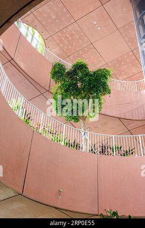 Lone Tree In The Green Oasis High Rise Garden Occupying Photo Inspiration