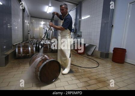(180519) -- CORINTH, May 19, 2018 -- A man works at a cheese factory in Kalliani village of Corinth, some about 70 Km west of Athens, Greece, on May 16, 2018. In the highlands of Corinth prefecture at the Peloponnese peninsula, just two hours from Athens, local agricultural small businesses turn to extroversion to survive the economic crisis. To go with Feature: Greek agricultural community more extrovert in seeking business opportunities. ) (dtf) GREECE-CORINTH-AGRICULTURAL-EXTROVERSION MariosxLolos PUBLICATIONxNOTxINxCHN Stock Photo