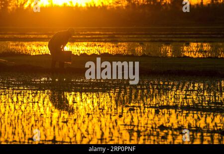 (180522) -- ILI, May 22, 2018 -- A farmer works at sunset in a field at Tuohaiyi Village of Chapchal Sibo Autonomous County under Ili Kazakh Autonomous Prefecture, northwest China s Xinjiang Uygur Autonomous Region, May 21, 2018. ) (ly) CHINA-XINJIANG-ILI-AGRICULTURE(CN) HuxHuhu PUBLICATIONxNOTxINxCHN Stock Photo