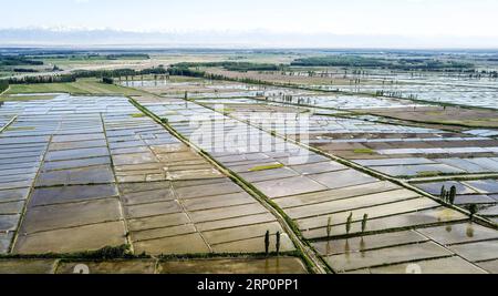 (180522) -- ILI, May 22, 2018 -- Aerial photo taken on May 21, 2018 shows paddy fields in Chapchal Sibo Autonomous County under Ili Kazakh Autonomous Prefecture, northwest China s Xinjiang Uygur Autonomous Region. ) (ly) CHINA-XINJIANG-ILI-AGRICULTURE(CN) HuxHuhu PUBLICATIONxNOTxINxCHN Stock Photo